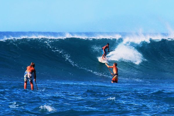 Da kine travels across Hawaiian culture.