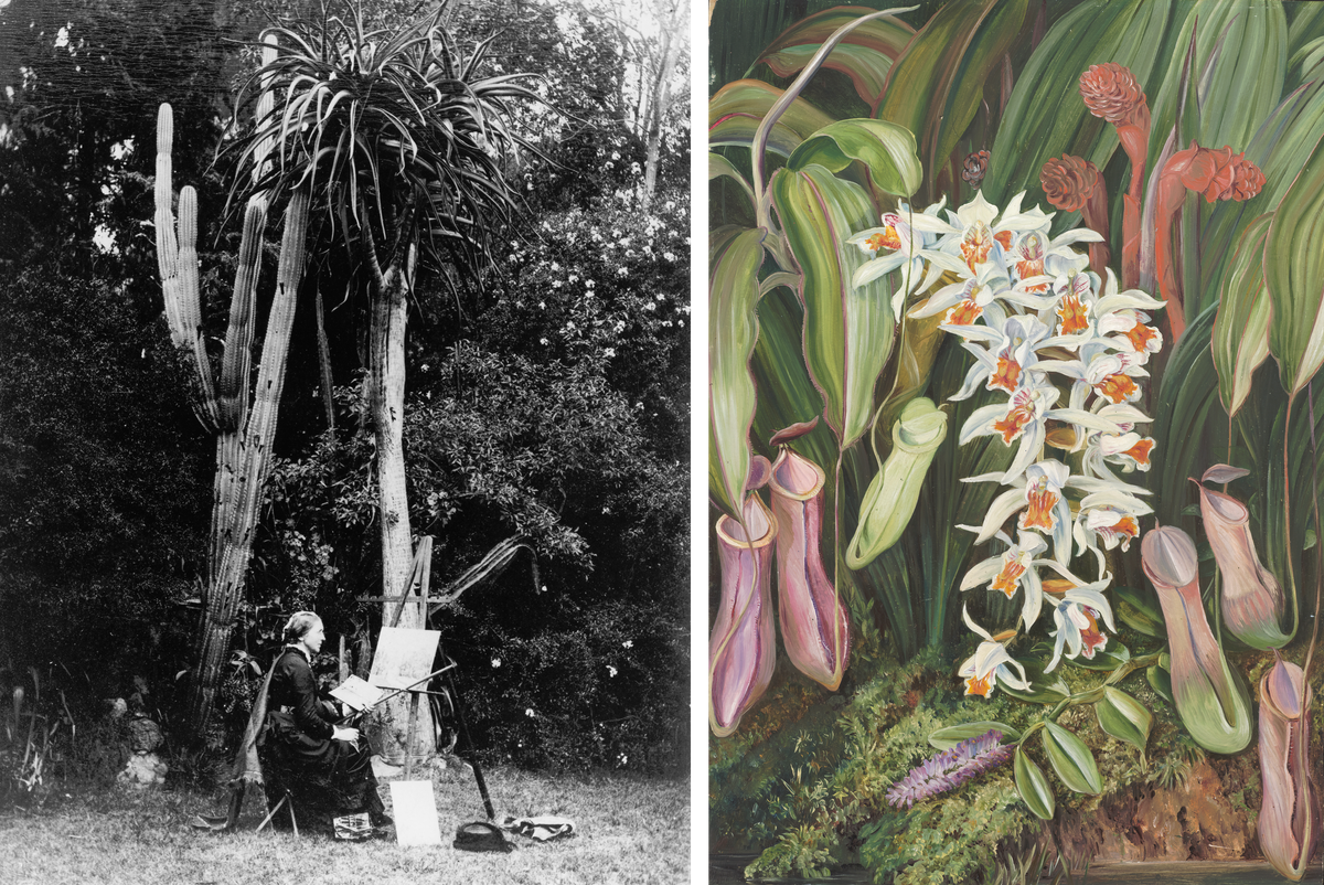 Marianne North at her easel, circa 1883, in Grahamstown, South Africa (left), and <em>Wild Flowers of Sarawak, Borneo</em>, a canvas she painted during her visit to the Southeast Asian island (right).