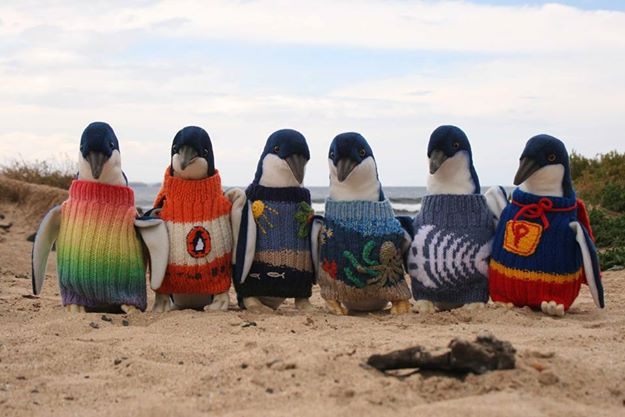 To raise money, the Penguin Foundation put some extra sweaters on toy penguins and sold them.