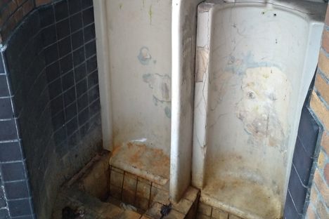 Leiden's Monumental Urinal