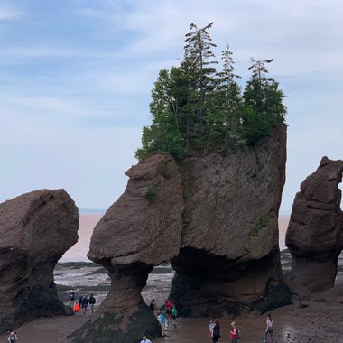 Low tide