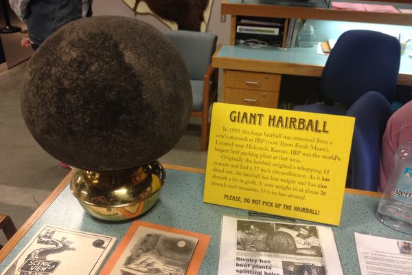 World’s Largest Hairball.