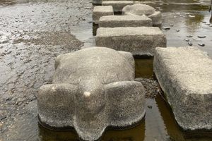 Kamo River Turtle Stepping Stones