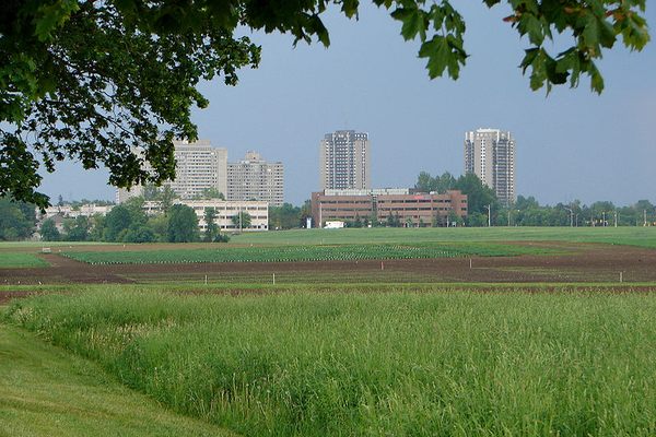 Central Experimental Farm with the city of Ottawa in the background.