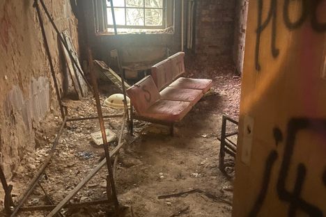 Forest Haven Asylum 
