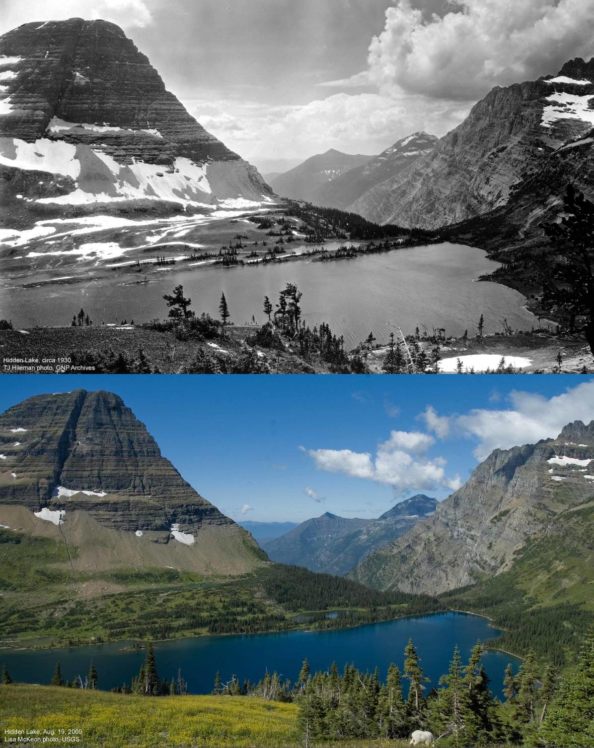 Hidden Lake at Glacier National Park in 1930 (top) and 2009 (bottom). Vegetation, particularly on the far shore, has migrated uphill. 