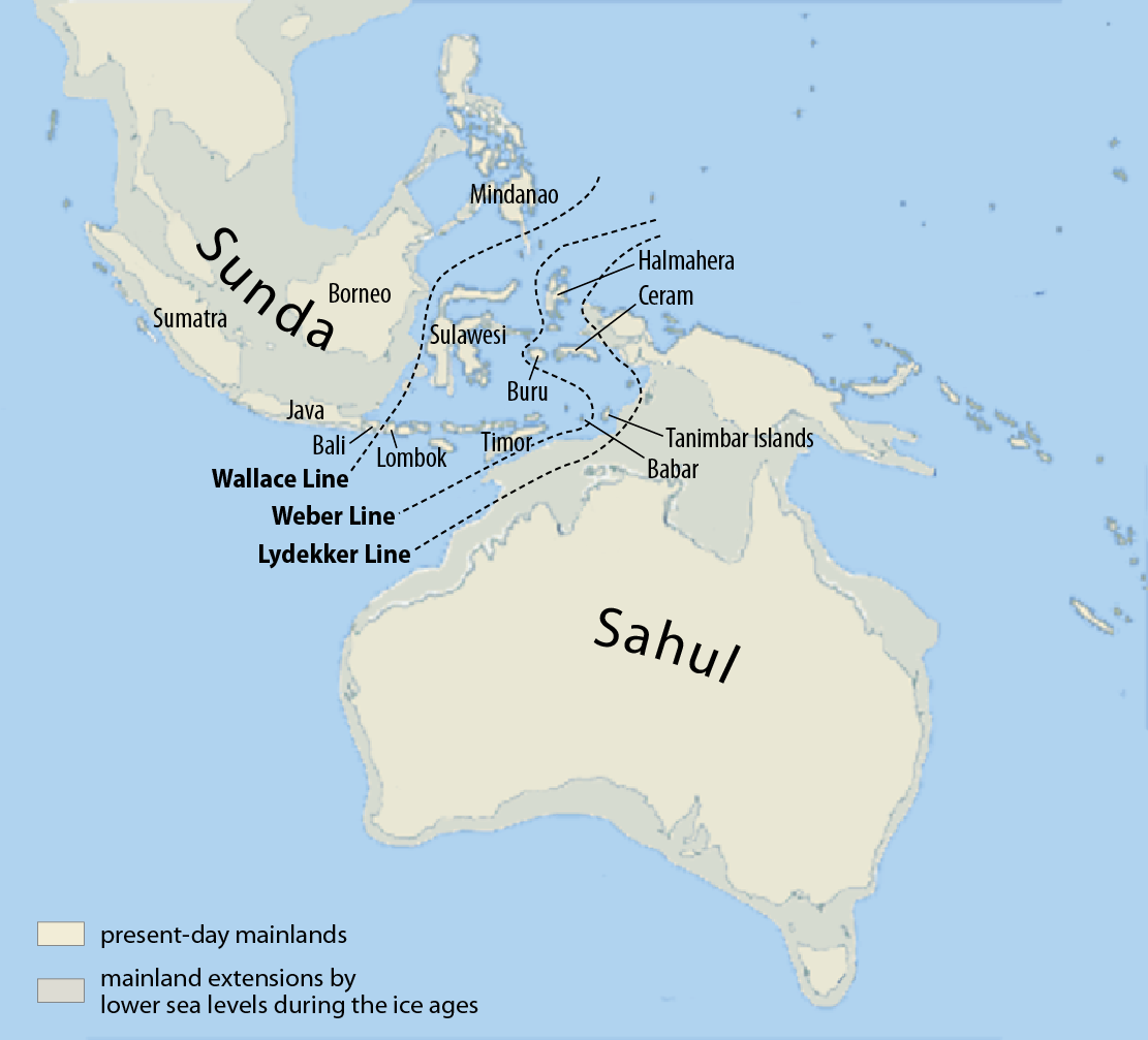 Sunda and Sahul 65,000 years ago.