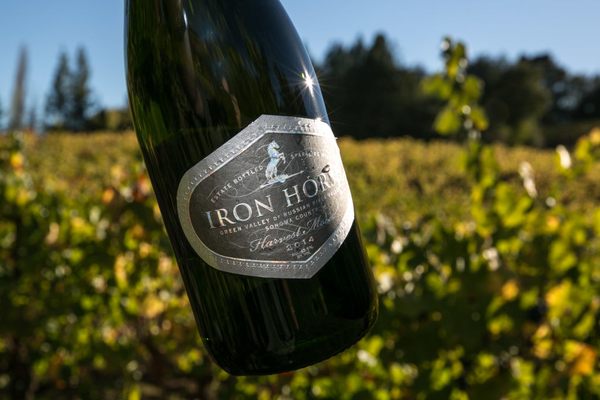 Iron Horse grows pinot noir and chardonnay grapes.