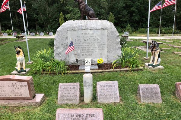 Michigan War Dog Memorial.