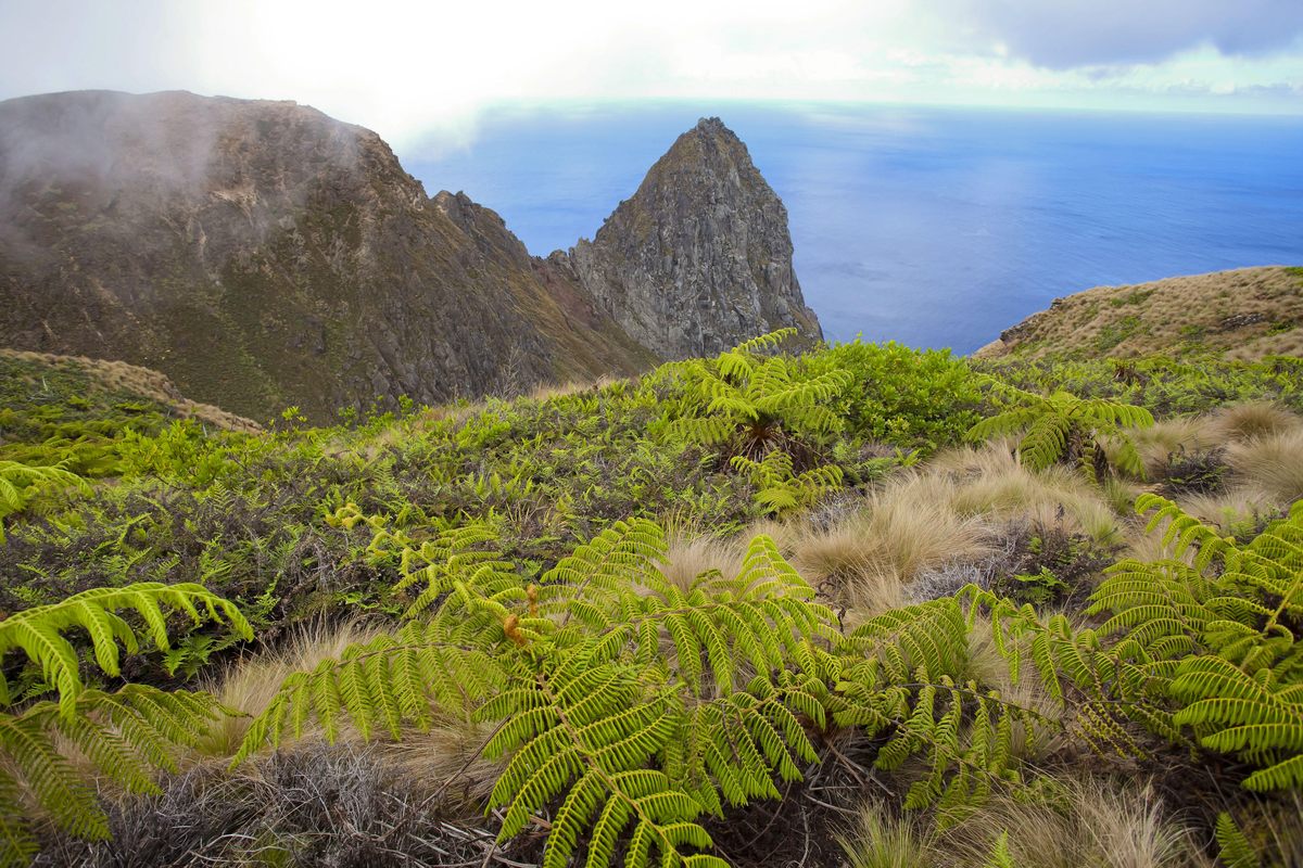 Trindade Island, Brazil.