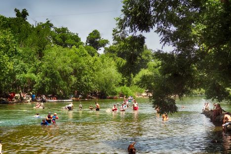 Barkin' Springs