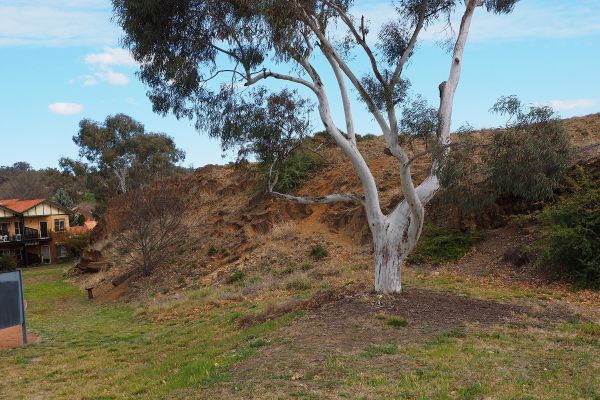 Northern face of the Deakin Anticline