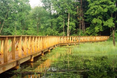 There are walkways over the marshes and wetlands.