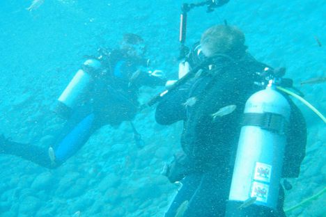 Scuba Dive