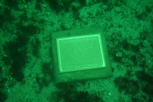 On the ocean floor