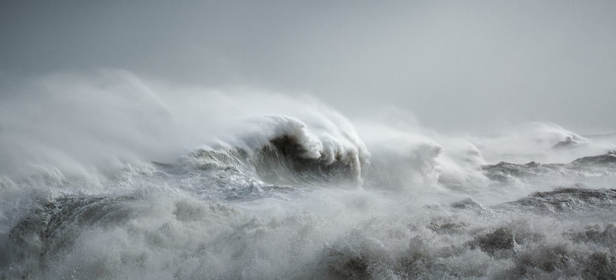 <em>Oceanus</em>.