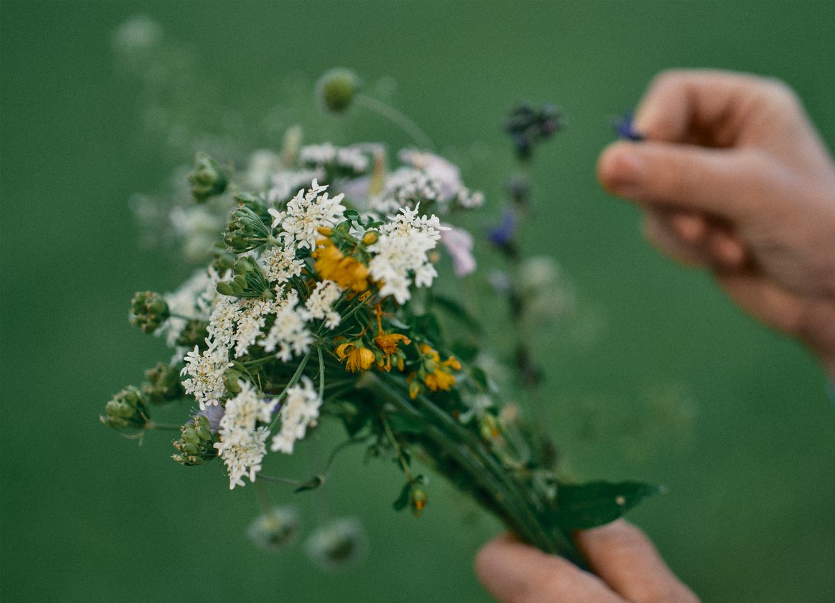 Rebolj is picking flowers.