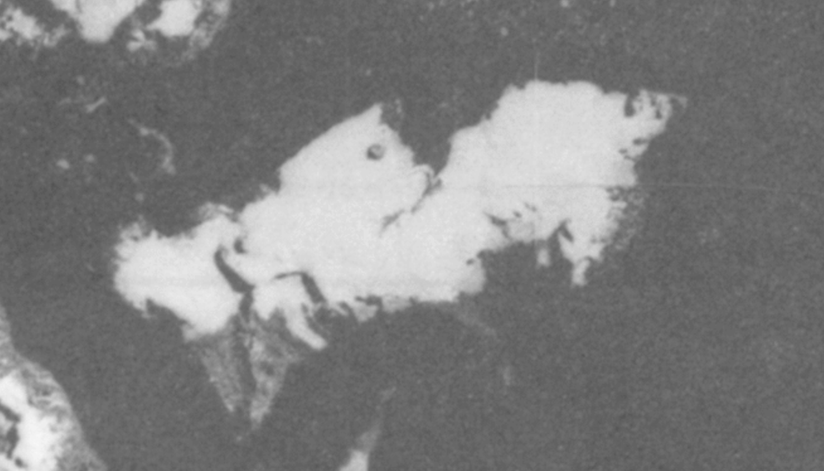 An early satellite image of Vega Island, taken January 31, 1977, shows more extensive glaciers and snow cover, even near the end of austral summer. The image also shows the exposed nunatak that will become the "eye" of the skull face that emerges in the 21st century.