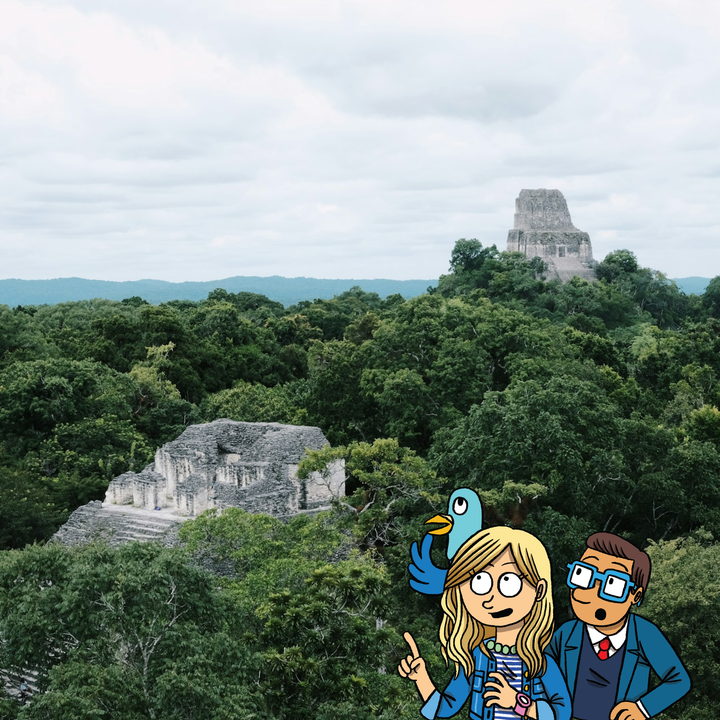 Welcome to Mexico!