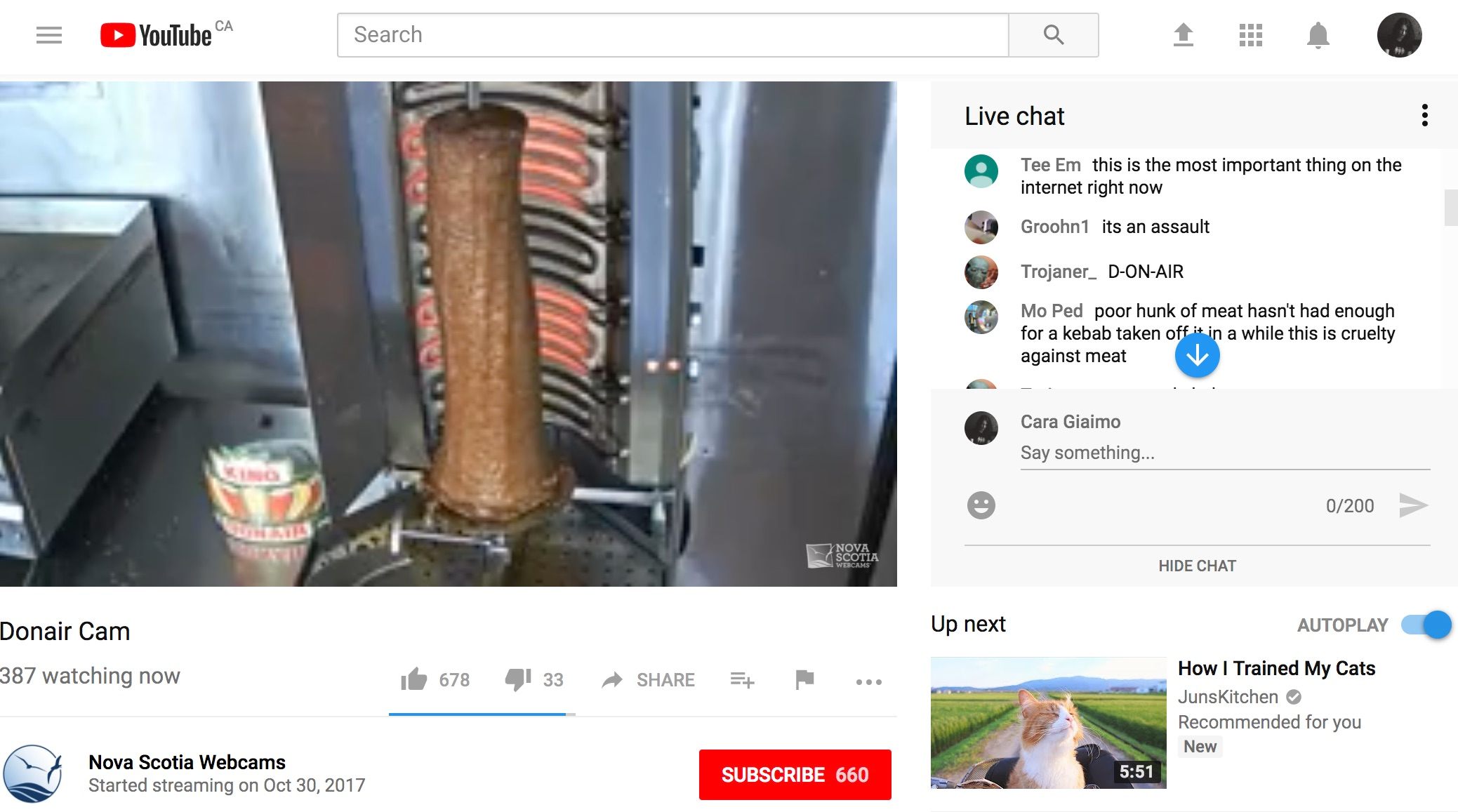 A representative Donair Cam screenshot, with live chat included.