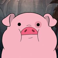 Profile image for Thuba