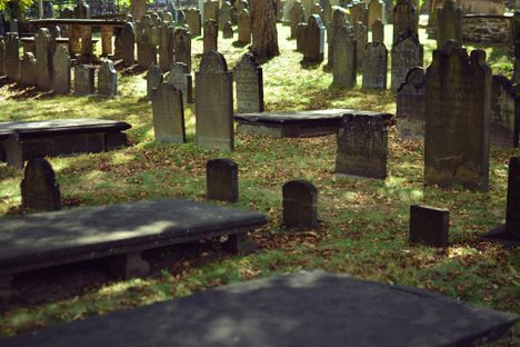 A landscape of graves in the Ground.