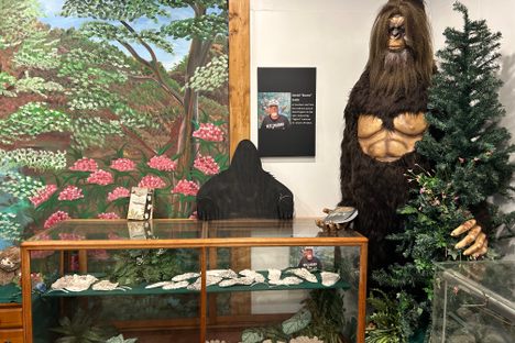 West Virginia Bigfoot Museum