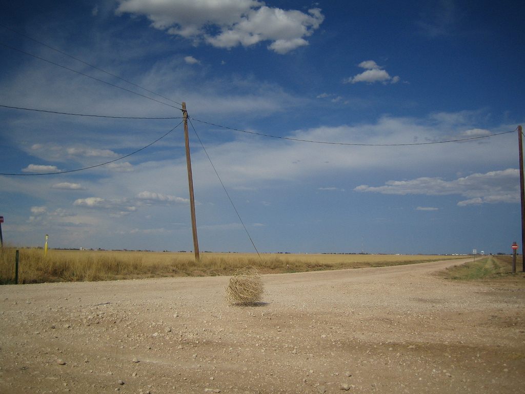 Large Country Tumbleweed (Tumble weed)