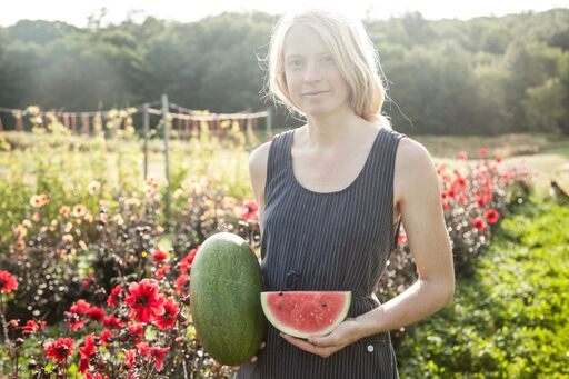 The August ambrosia watermelon was bred for upstate New York's shorter growing season.