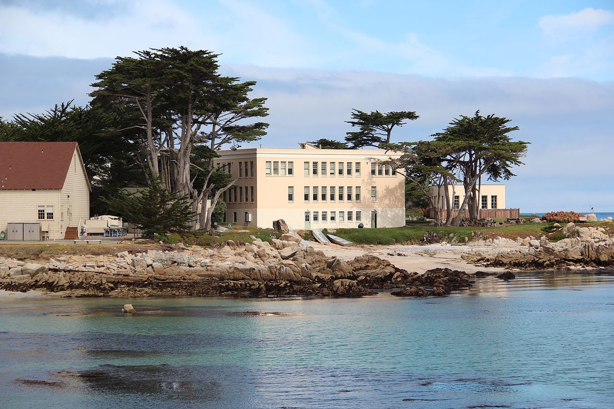 Hopkins Marine Station in Pacific Grove, California, is part of Stanford University and occupies the land where Chinese Americans once lived.