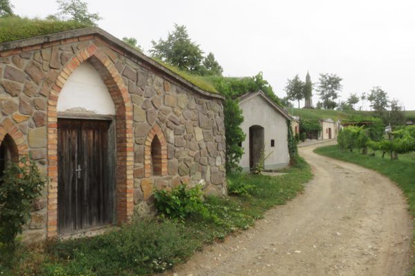 The picturesque wine cellars of Vrbice. 