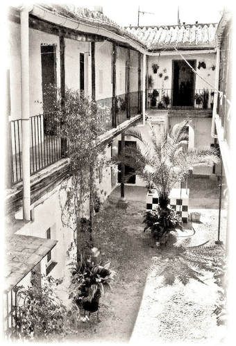 Rumah yang terhubung dengan dapur komunal adalah titik fokus tradisional untuk komunitas Gitano di Jerez.