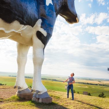 Flat ground, big skies, huge cows.