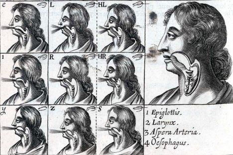 The 17th-Century Language that Divided Everything in the Universe into 40 Categories