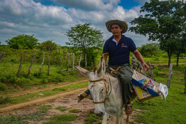 Soriano and Beto, one of his two burros, set out into the Magdalena countryside with books for children who live on isolated farmsteads.