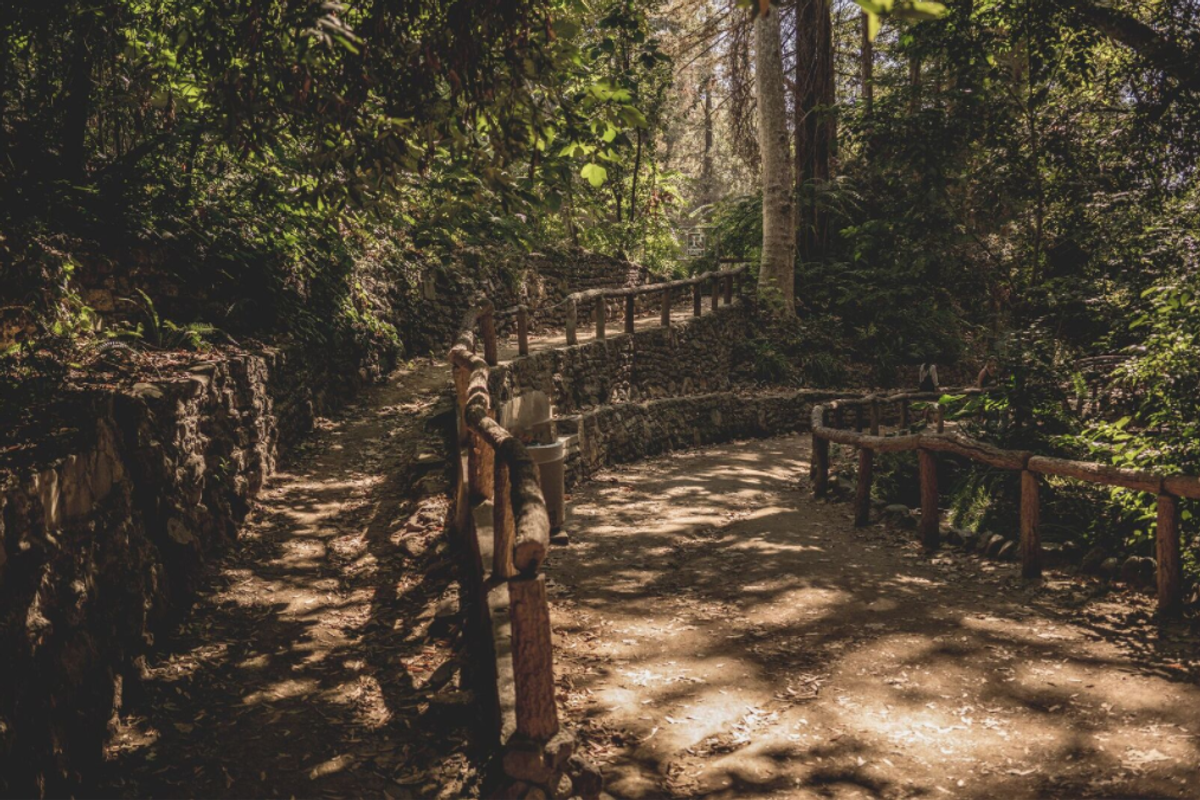 Handrails and stone walls in Fern Dell.