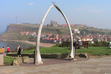 Whitby Abbey through the Whale Bones