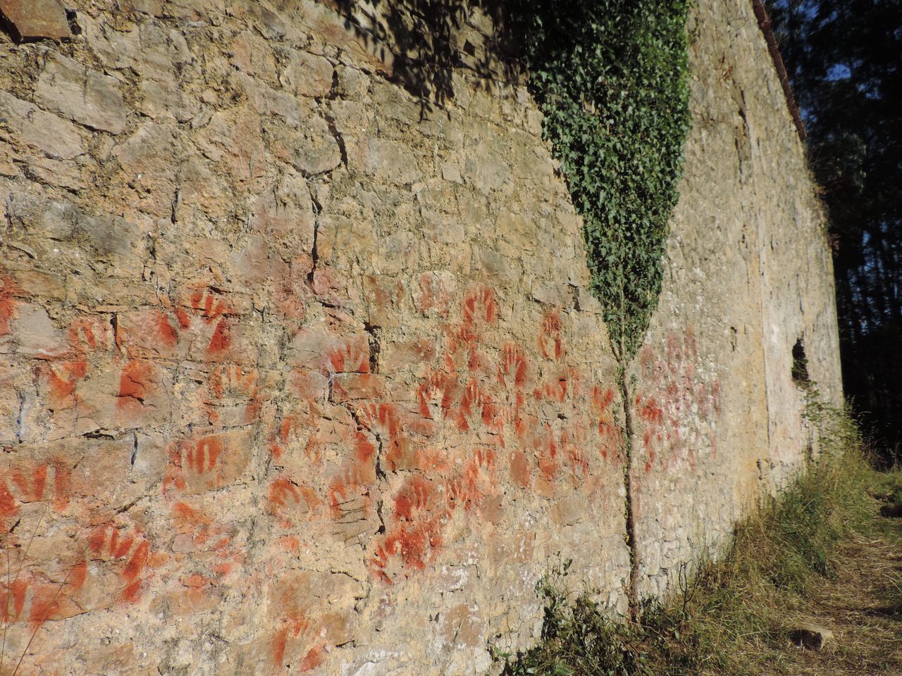 Volunteers' handprints cover a limestone wall, part of an experimental archaeology project to understand how ancient humans left their mark in caves throughout Spain and France.