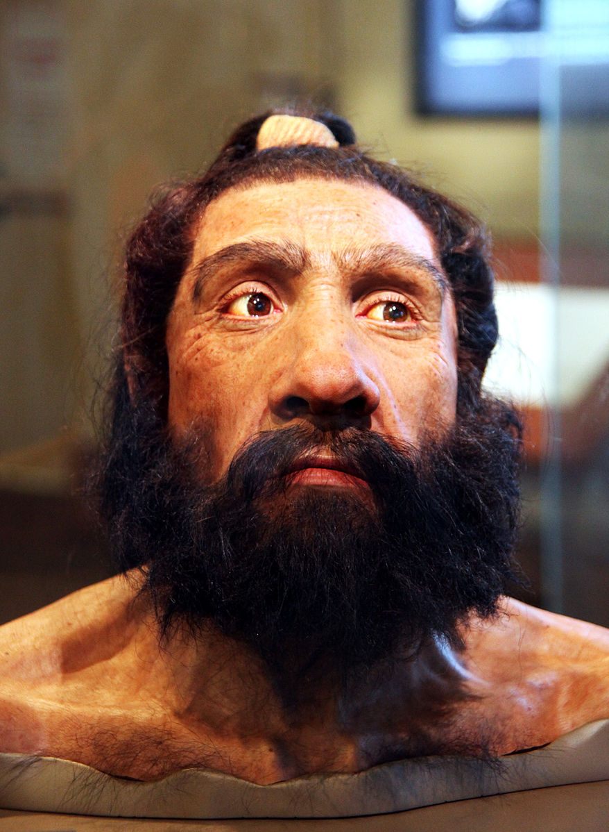 A more modern Neanderthal reconstruction, from the Smithsonian Museum of Natural History.