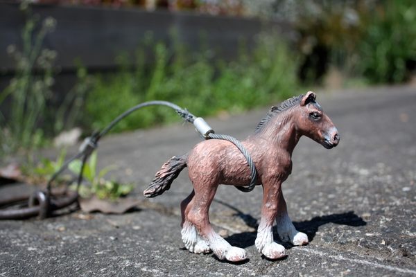 Toy horse tied to a sidewalk ring in Portland, Oregon.