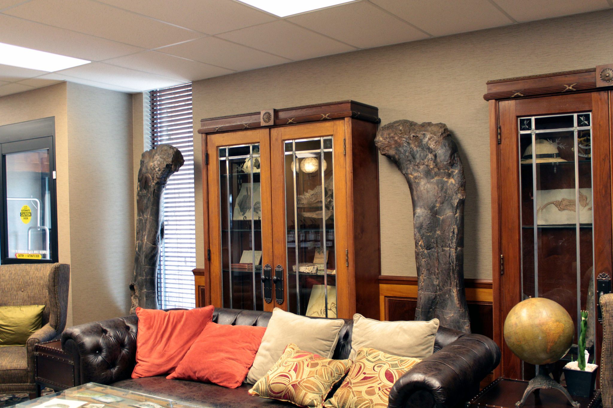 Upper hind legs of a Brachiosaurus on display at the hotel. 