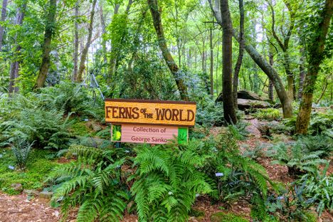 Entrance sign to the gardens with Fern Mountain in the background.