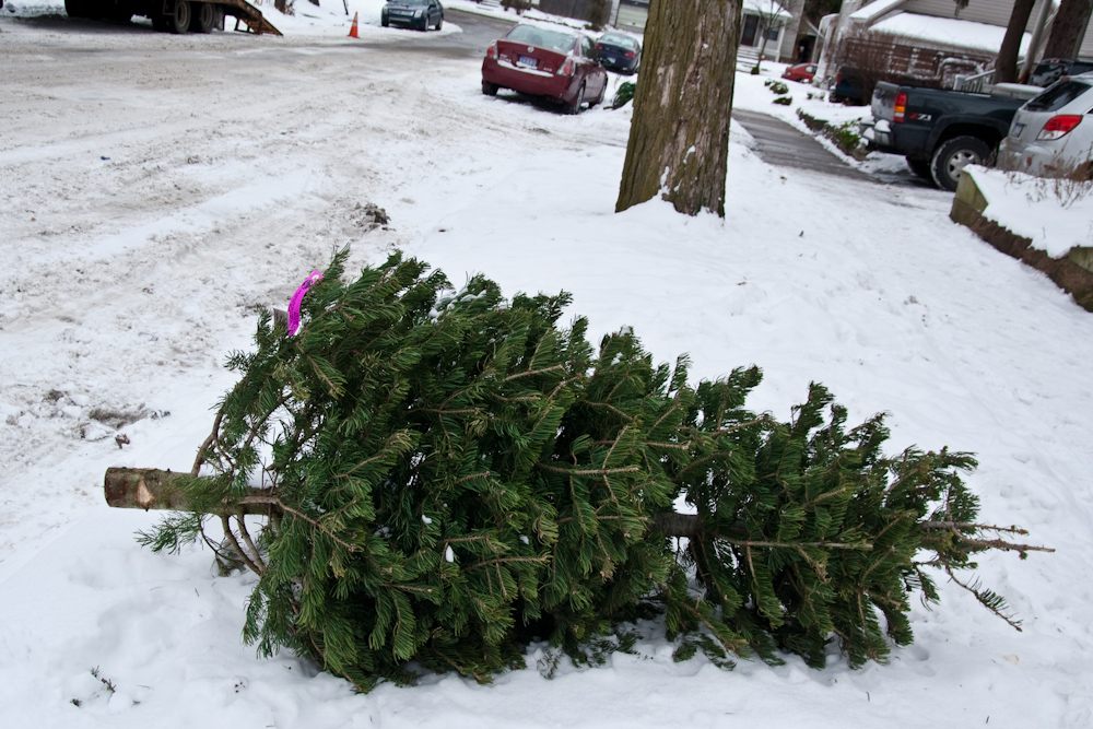 A sad curbside pickup could become a sweet pick-me-up.