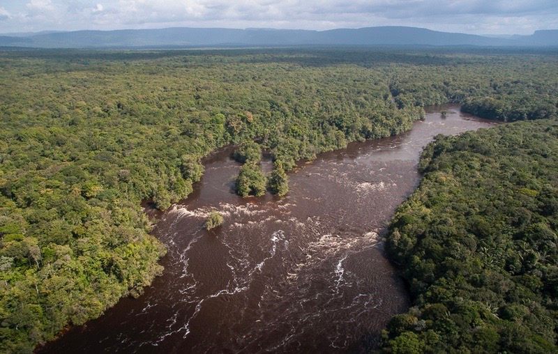 Guyana's Potaro Plateau is a biodiversity hotspot. 