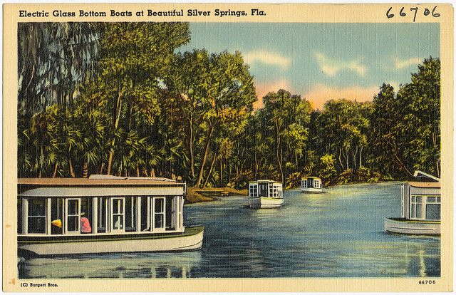 Silver Springs State Park postcard circa 1930. Around this time, the rhesus macaque colony was brought to the park as part of a tour boat attraction.