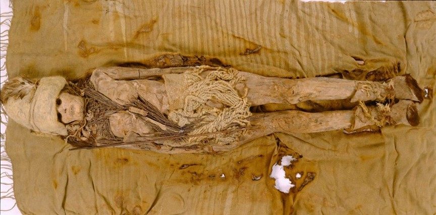 The mummies of Tarim Basin are up to 3,600 years old.