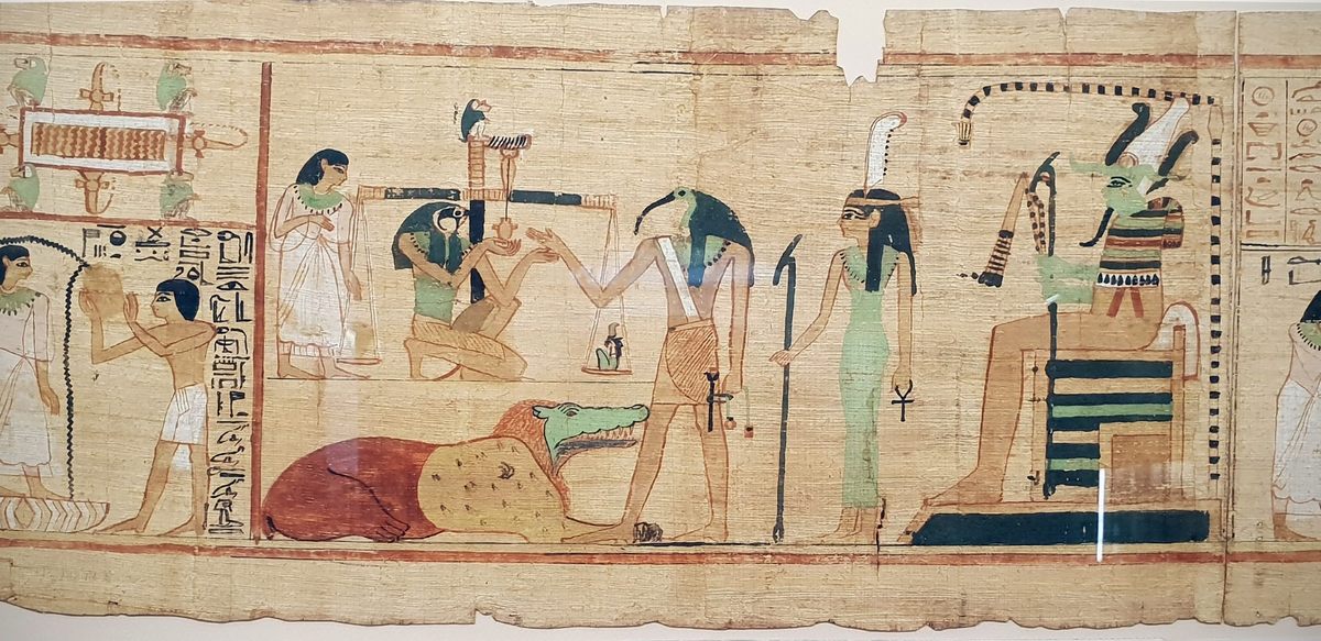 Most of the ibis mummies honored Thoth, the ibis-headed ancient Egyptian god of wisdom, writing, and magic.