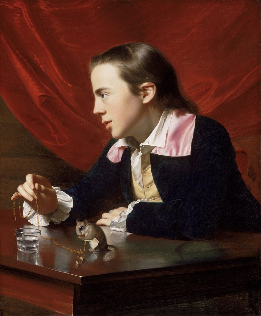 John Singleton Copley's <em>A Boy with a Flying Squirrel</em>.