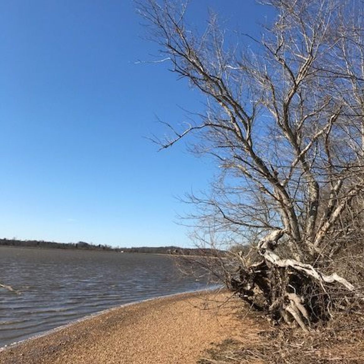 The shores of the Patuxent River. 