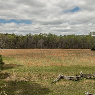 Surrender Field